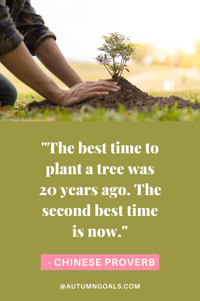 "The best time to plant a tree was 20 years ago. The second best time is now."* - Chinese Proverb