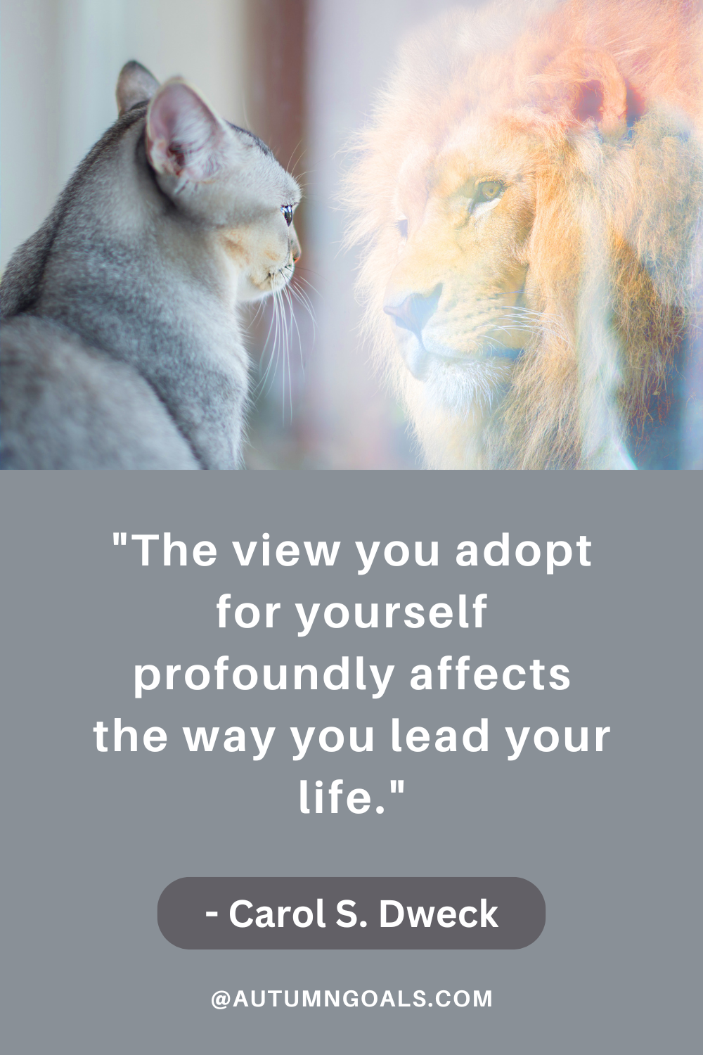 "The view you adopt for yourself profoundly affects the way you lead your life." - Carol S. Dweck