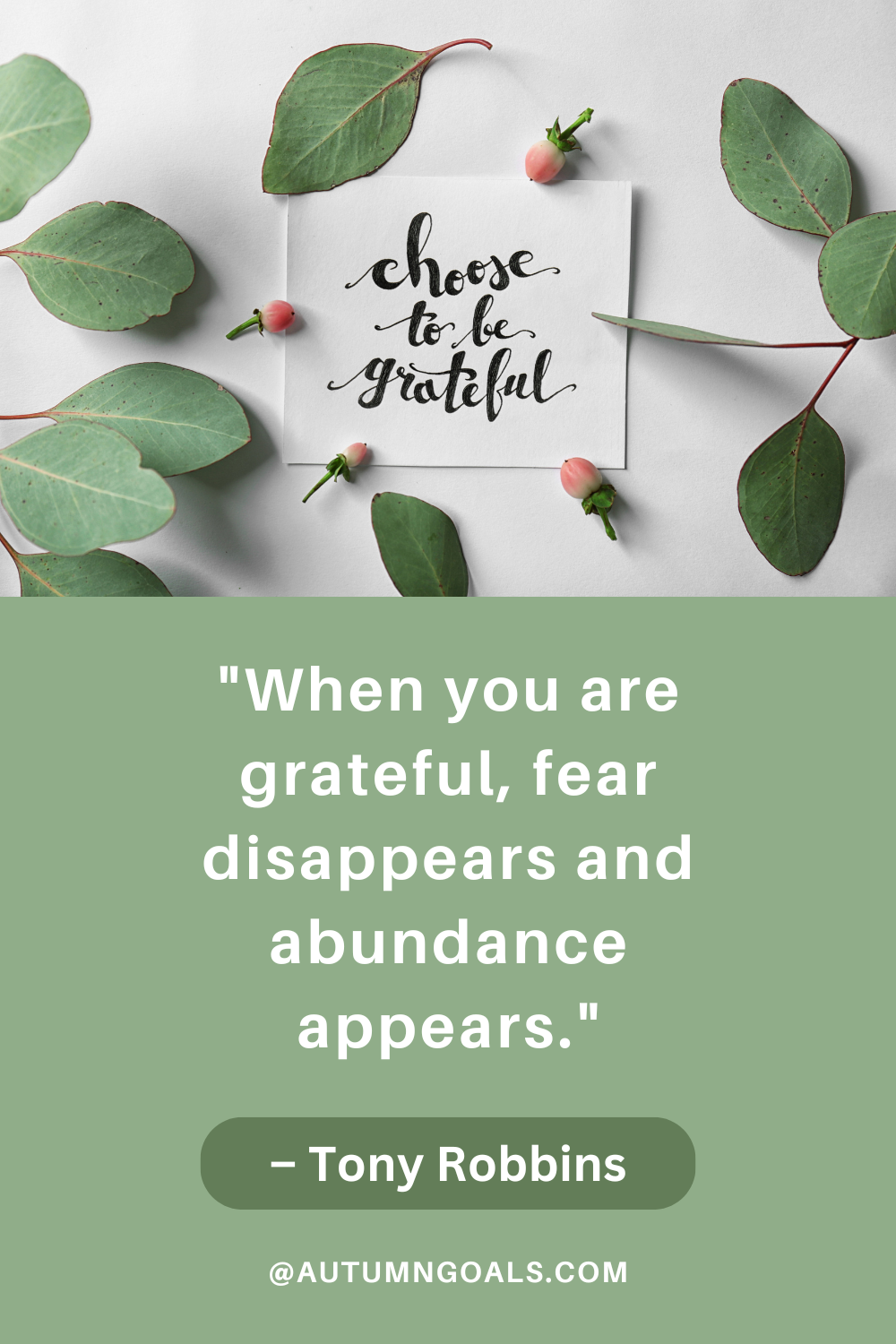 "When you are grateful, fear disappears and abundance appears." - Tony Robbins