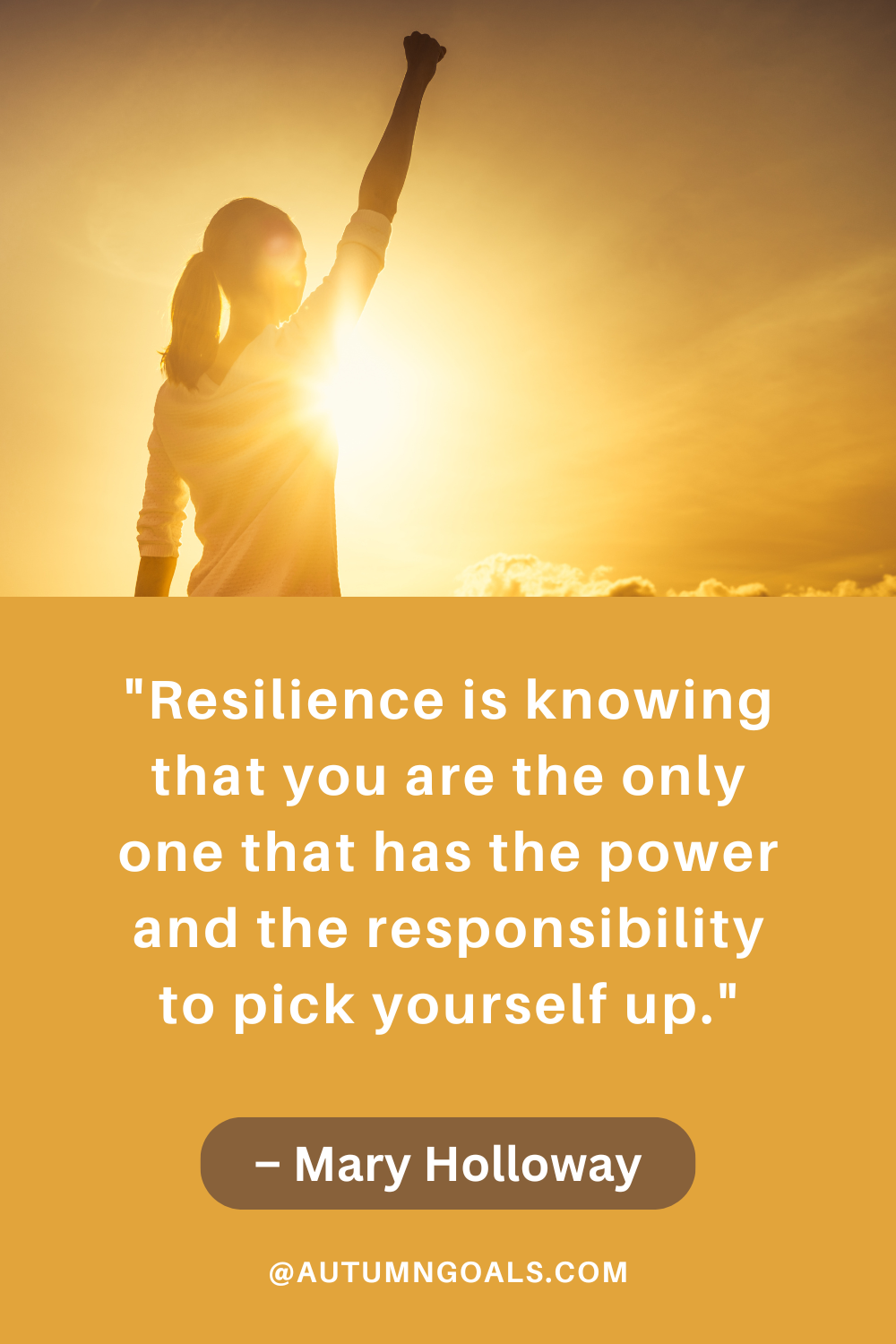 "Resilience is knowing that you are the only one that has the power and the responsibility to pick yourself up." – Mary Holloway