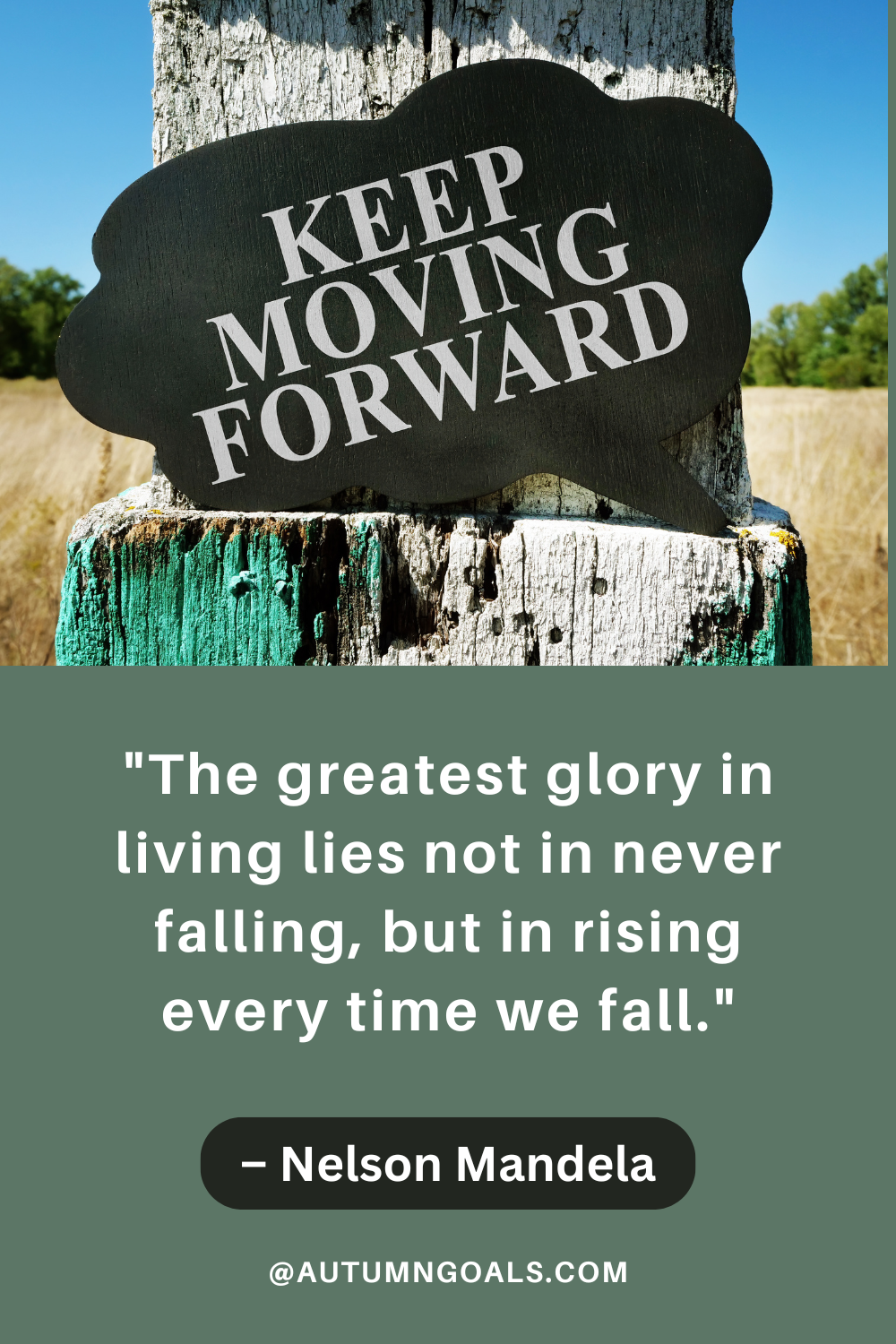 "The greatest glory in living lies not in never falling, but in rising every time we fall." – Nelson Mandela