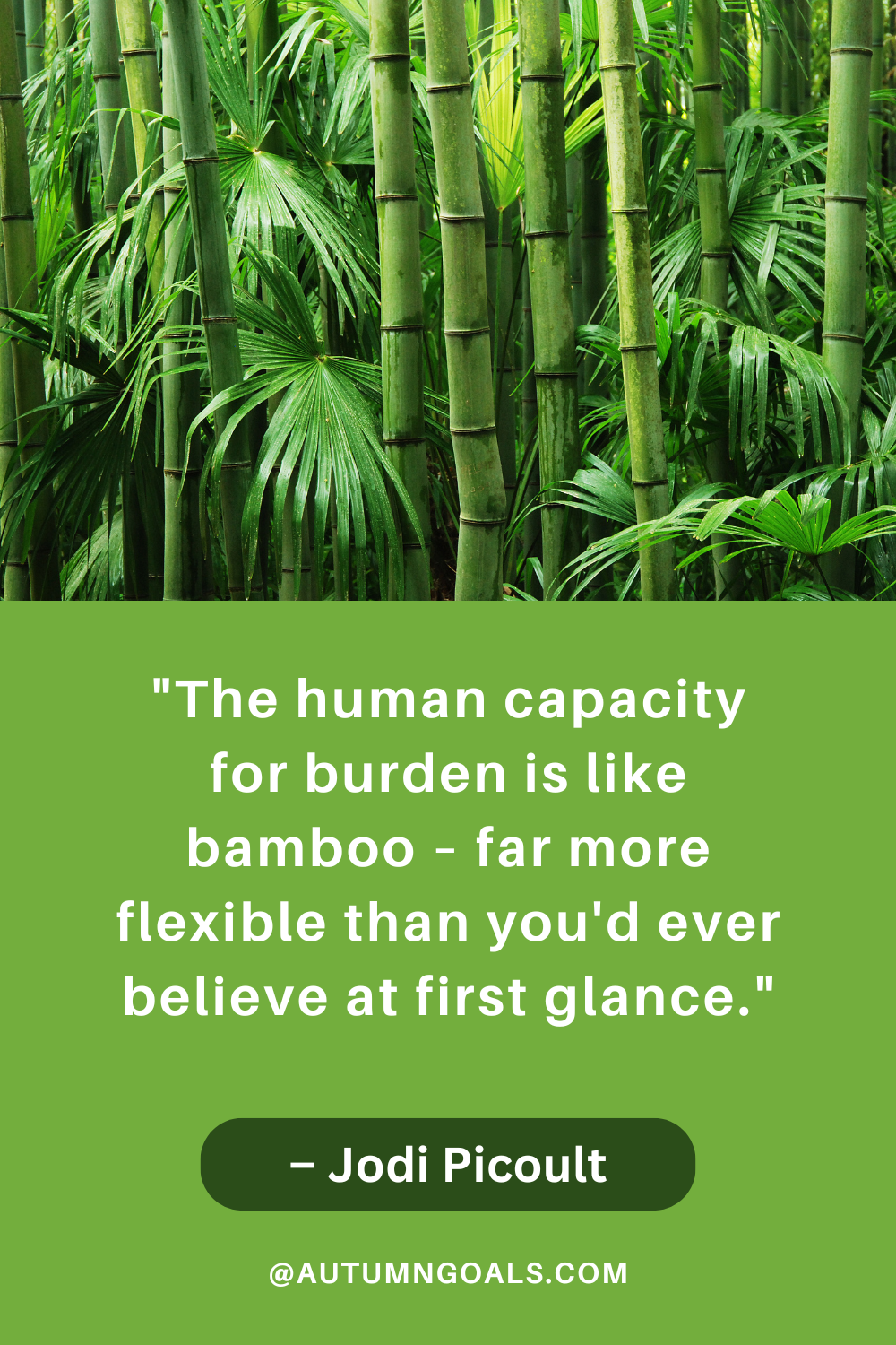  "The human capacity for burden is like bamboo – far more flexible than you'd ever believe at first glance." – Jodi Picoult