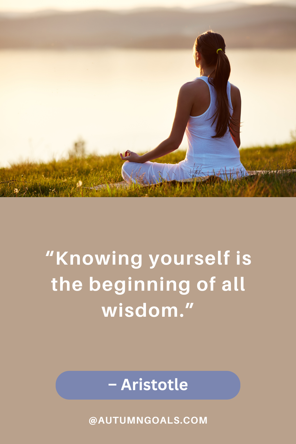 “Knowing yourself is the beginning of all wisdom.” – Aristotle