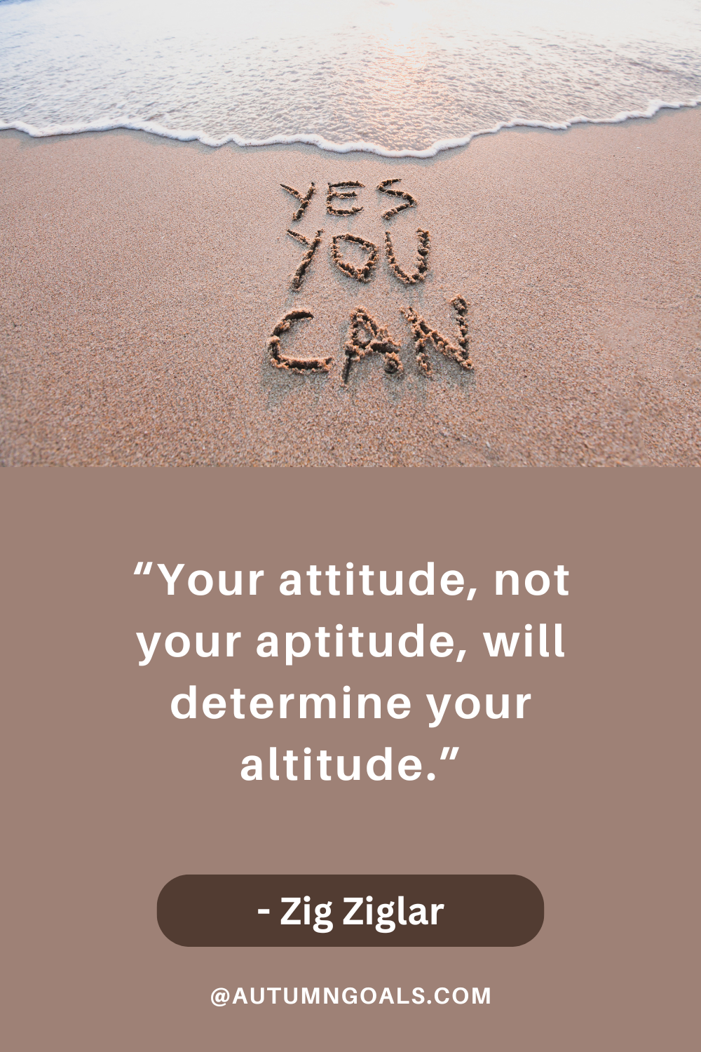 “Your attitude, not your aptitude, will determine your altitude.” - Zig Ziglar