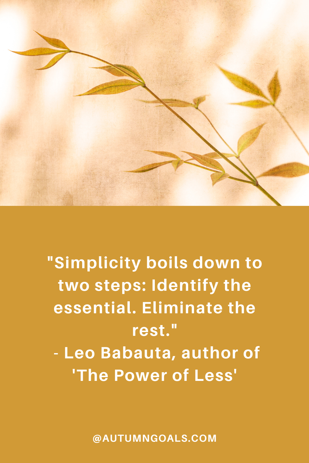 "Simplicity boils down to two steps: Identify the essential. Eliminate the rest." - Leo Babauta, author of 'The Power of Less'